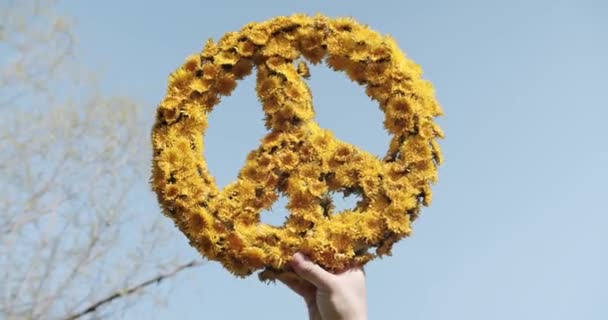 Handgemachtes Friedenssymbol aus gelben Löwenzahnblüten am klaren blauen Himmel — Stockvideo