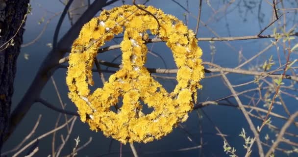 우크라 이나를 위해 기도하 십시오. 우크라이나 전쟁의 개념입니다. 평화에 대한 개념. — 비디오
