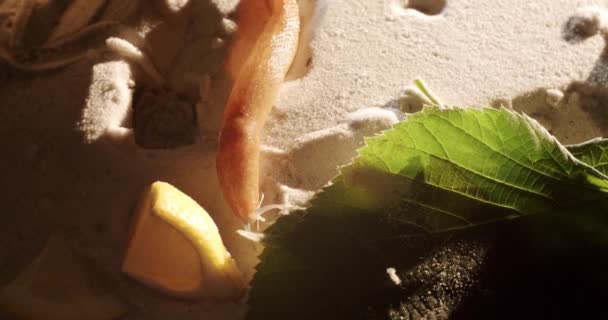 砂の上をゆっくりと這うホームレスな茶色のカタツムリ、そして天然の葉 — ストック動画