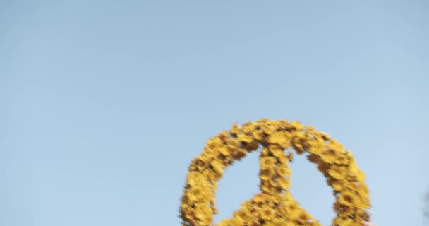 A man holds in hand A great symbol of peace made of yellow flowers on blue sky — Vídeo de Stock