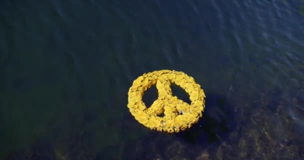 Handmade peace symbol made of yellow dandelion flowers floats on the blue water — Stok video