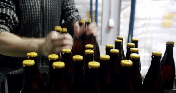 工場パイプラインで淹れたばかりのビールボトルがいっぱいのプラスチック製の箱。. — ストック動画