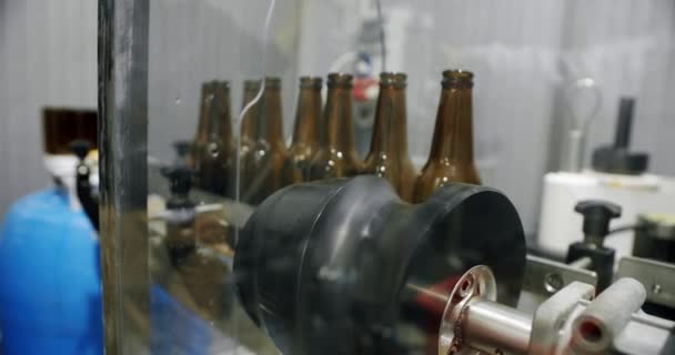 Sticle de bere pe linia automată a berăriei. Conceptul fabricii de bere. — Videoclip de stoc