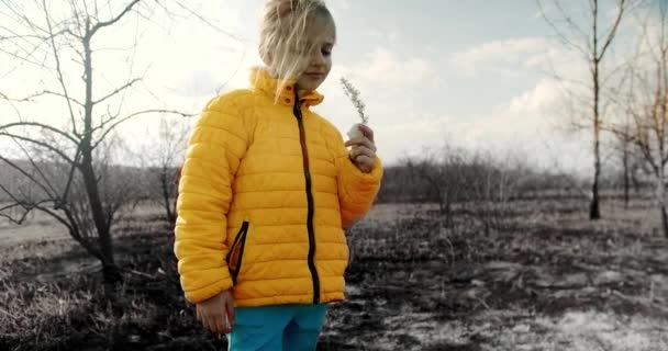 A small child dressed in the colors of the Ukrainian flag smells a flower. — Stok video