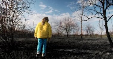 Little homeless girl in colorful Ukrainian clothes walks on a burnt field