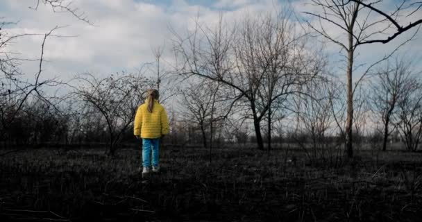 Dívka v barevných ukrajinských šatech kráčí po spáleném poli po válečném bombardování. — Stock video