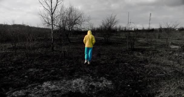 Teenage homeless girl in colorful Ukrainian clothes walks on a burnt field — Stok video
