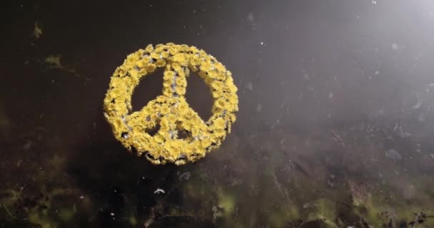 Peace symbol isolated on black background. Save ukraine. peace, help concept. — Stockvideo