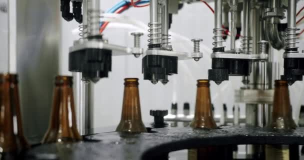 Μπουκάλια Καφέ Μπύρας Ένα Εργοστάσιο Που Κινείται Κατά Μήκος Του — Αρχείο Βίντεο
