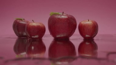 Malus domestica, Lezzetli kırmızı elmalar ve yukarıdan dökülen çok sayıda yaprak ve su. Birçok olgun elmanın güzel kompozisyonu. Meyve Patlaması, stüdyo çekimlerinde çiğ yemek. Tatlı Elma.