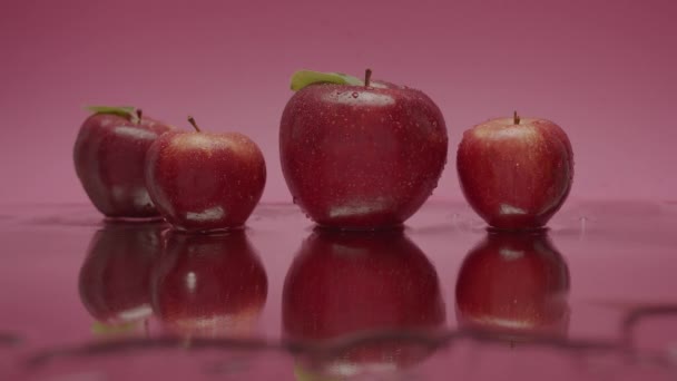 Malus Domestica Lezzetli Kırmızı Elmalar Yukarıdan Dökülen Çok Sayıda Yaprak — Stok video