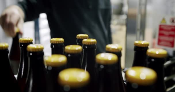Plastic Kratten Vol Met Vers Gebrouwen Bierflessen Een Fabriekspijplijn Transportband — Stockvideo