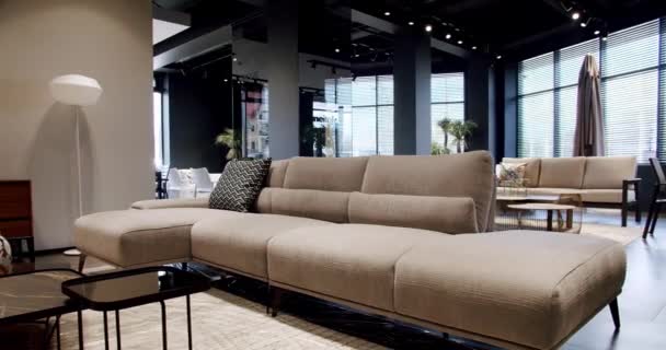 モダンなグレーとベージュのファブリックソファ 枕付きの繊維張りのソファ モダンなロフトアパートメント モダンなリビングルームの美しいベージュのソファ 居心地の良い家庭で現代のソファ 北欧インテリア — ストック動画