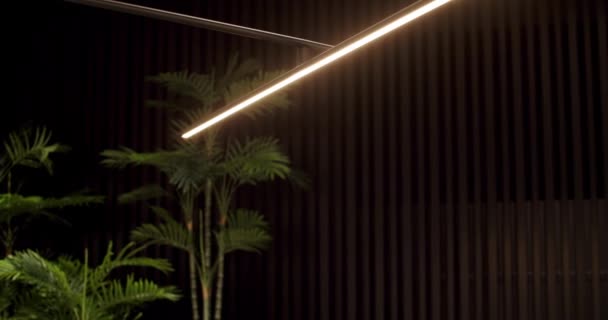 Schwarze Minimalistische Und Moderne Lineare Stehleuchte Schwarzem Interieur Mit Holzlinie — Stockvideo