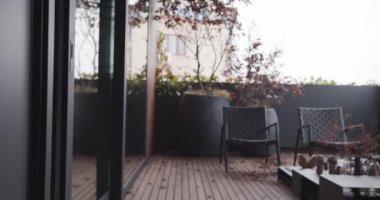 Minimalist teras dairesi, Japon ağaçları, ahşap zemin, lüks apartman dairesi, emlak konsepti. İtalyan minimalist tasarım mobilya, büyük pencereli çatı katı dairesi