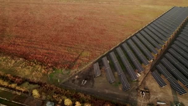 Panneaux Solaires Avec Centrale Électrique Une Autre Source Électricité Ferme — Video