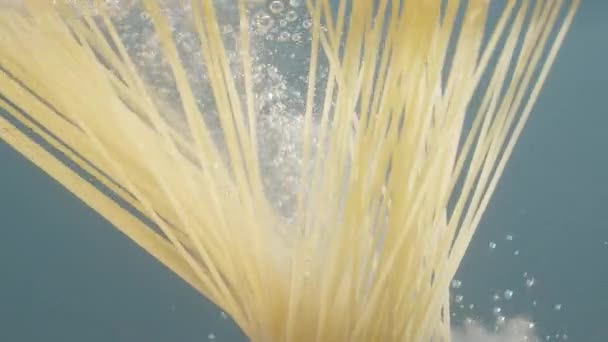 Slow Motion Falling Uncooked Italian Pasta Spaghetti Water Blue Backgorund — Stock Video