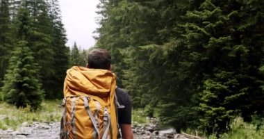 Urban nomad adventure on hitchhiking trip. A man walking in the forest. Back view of active healthy male with a backpack walking in pine woods, Male traveler walks by trail exploring nature.
