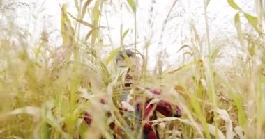 Yeşil buğday hasadı mikrop tarım endüstrisi. Genç çiftçi tarlada yürüyor. Tarım sektörü kavramı. İşletme tarım hasat konsepti. Kalite kontrol yeşil süpürge çiftliği.