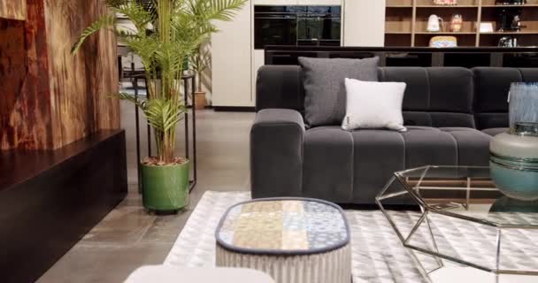 Grijze Moderne Sofa Minimalistische Kamer Moderne Donkergrijze Stoffen Bank Textielstoffering — Stockvideo