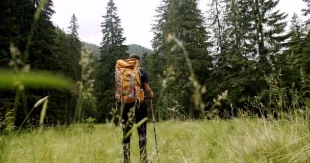 Man Hiking Camping Wilderness Walk Path Trail Outdoors Lifestyle Man — Wideo stockowe