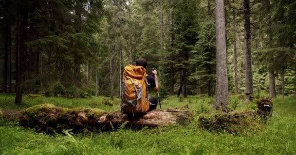 Man Hiking Camping Wilderness Walk Path Trail Outdoors Lifestyle Man — Vídeo de stock