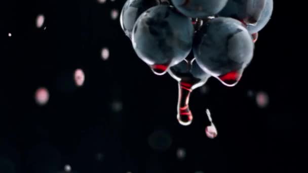 Свіжий Чорний Виноград Обертається Ізольованому Чорному Тлі Супер Повільному Русі — стокове відео