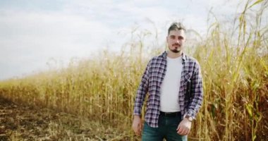 Genç çiftçi tarlada yürüyor. Tarım sektörü kavramı. İşletme tarım hasat konsepti. Kalite kontrol yeşil süpürge çiftliği. yeşil buğday hasadı mikrop tarım endüstrisi.