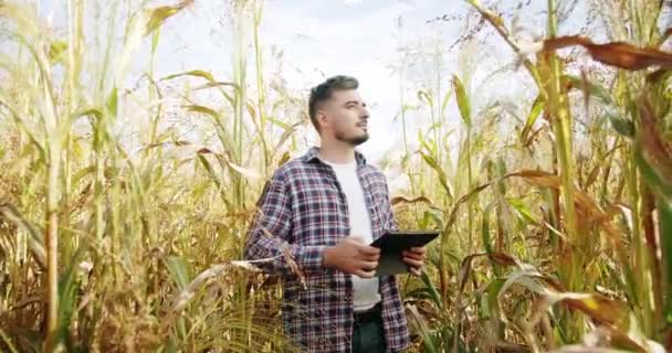 Young Farmer Work Using Digital Tablet Field Agriculture Business Agriculture — Vídeo de Stock