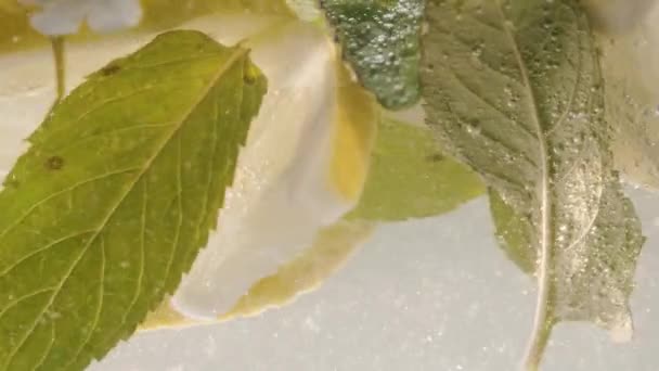 Kabarcıklarında Limon Dilimi Buzlu Meşrubat Baloncuklar Nane Limon Ferahlatıcı Limonlu — Stok video