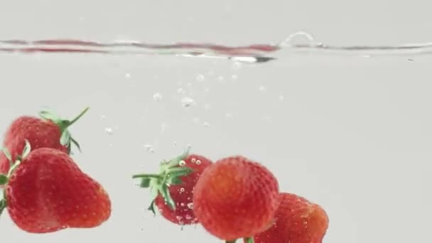 Vers Aardbeienfruit Gedropt Water Schot Witte Achtergrond Falling Verse Aardbei — Stockvideo