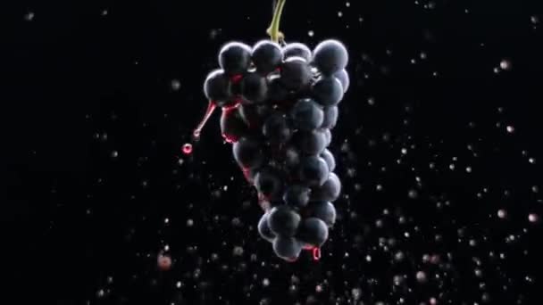 Verse Zwarte Druiven Rotatie Geïsoleerde Zwarte Achtergrond Super Slow Motion — Stockvideo
