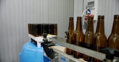 Şişeleri koyan ve bira fabrikasının otomatik hattına koyan işçinin elleri. Bira fabrikası konsepti. Bir fabrikada modern teknoloji. Fabrika, bira konsepti.