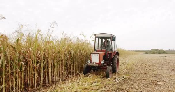 Tractor Works Wheat Agricultural Field Concept Agribusiness Firm Quality Control — Video Stock