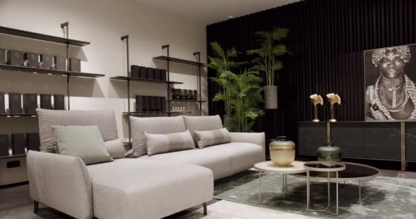Sofá Tecido Bege Moderno Sofá Estofado Têxtil Com Travesseiros Apartamento — Vídeo de Stock