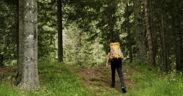 Concept Walking Reaching Goals Urban Nomad Adventure Hitchhiking Trip Man — Vídeos de Stock
