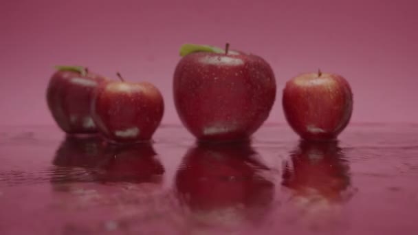 Malus Domestica Lahodné Červené Přírodní Jablka Mnoha Listy Vody Padající — Stock video