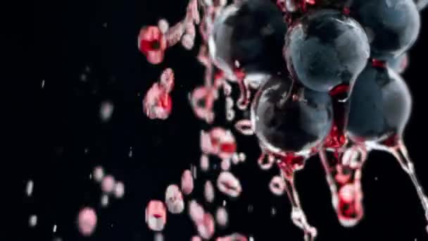 Fresh Black Grapes Rotation Isolated Black Background Super Slow Motion — Stock Video