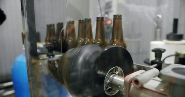 Пивные Бутылки Автоматической Линии Пивоварни Концепция Пивоваренного Завода Современные Технологии — стоковое видео