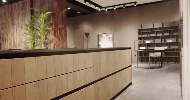 Modern Wooden Kitchen Room Furniture Elegant Comfortable Minimalist Home Domestic — Wideo stockowe