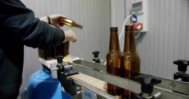 Mãos Trabalhador Que Coloca Garrafas Coloca Los Linha Automática Cervejaria — Vídeo de Stock