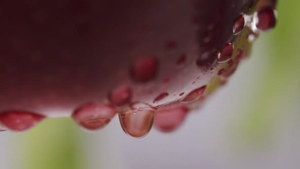 Ernten Sie Viele Rote Reife Saftige Äpfel Der Nähe Hintergrund — Stockvideo