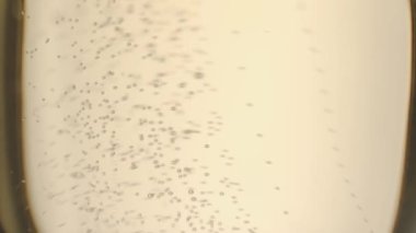 Glass of champagne on white isolated background. Champagne bubbles. Slow motion and super macro shot of tiny air bubbles flowing upwards in elegant glass of champagne on a white background