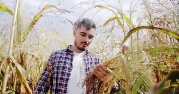 Young Farmer Walk Field Agriculture Concept Agribusiness Business Agriculture Harvesting — Stockvideo