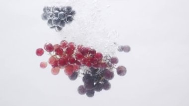 Fresh red and black grapes fall in water on isolated white background on slow motion. Natural Grapes. Beautiful stock footage for wine commercial. Taste Luxury Grapes. Quality Creative Vine.