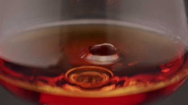 Luxury Brandy Drop Glass Cognac Glass Golden Cognac Isolated Black — Vídeo de stock