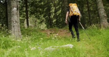 Concept of walking and reaching goals. Urban nomad adventure on hitchhiking trip. A man walking in the forest. high elevation green forest. Man hiking or camping in wilderness walk on path or trail.