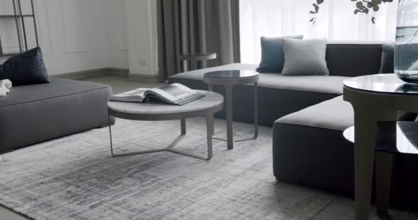 Modern Contemporary Minimalist Living Room Gray Furniture Luxury Modern House — Vídeo de Stock