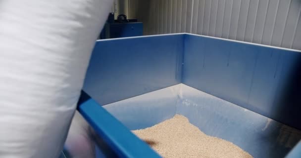 Beer Production Pouring Malt Grains Large Grinding Tank Brewery Modern — Stock Video