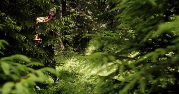 Male Traveler Hike Backpack Trekking Pine Woodland Adventurer Expedition Freedom — Stock Video